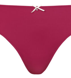 Brief