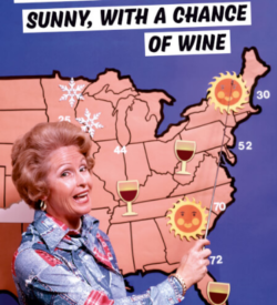 Screenshot 2022-01-15 at 01-10-58 Sunny With a Chance Of Wine Funny Birthday Card